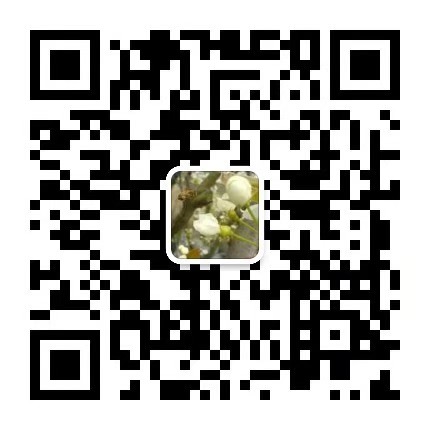 自在居精品民宿_苏州西山民宿推荐_度假休闲园林风民宿