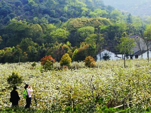 开云体育- 开云体育官方网站- 开云体育APP 最新2025海关入驻长兴岛 服务上海国际航运中心建设